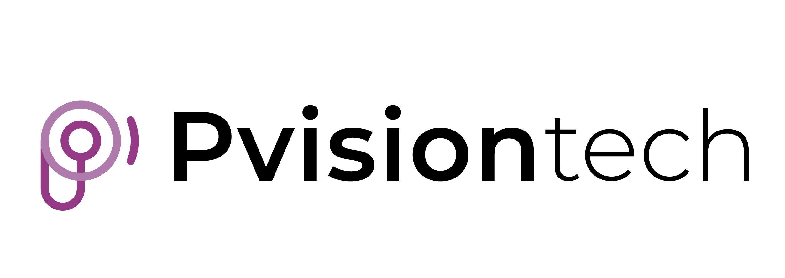 PVision Logo